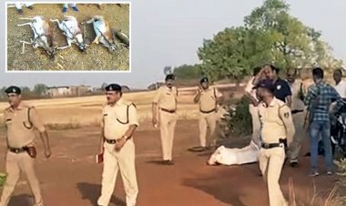 MP : पहले 5 काले हिरणों का शिकार फिर 3 पुलिसकर्मियों की हत्या