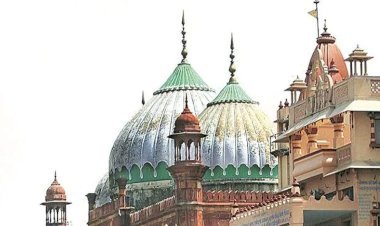 अब मथुरा की शाही ईदगाह को सील करने के लिए याचिका दायर