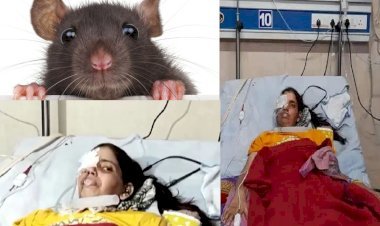 अस्पताल में इलाज की जगह मिला घाव! सोती महिला मरीज की पलक कुतर गए चूहे, कोटा में झकझोर देने वाली घटना