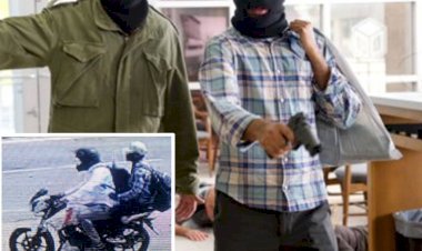 अलवरः फिल्मी स्टाइल में आए 6 डकैत, बैंक में घुस 10-15 मिनट में खेल गए पूरा गेम