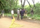 बेलगावी में तेंदुए की तलाश जारी, मेगा ऑपरेशन में शामिल हुआ हाथी