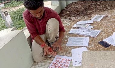 हाइवे पर वाहनों से टकराकर मरने वाले पशुओं के दर्द से कांप रहा इंसानी दिल