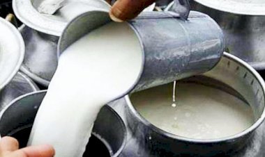 दूध पीना हुआ महंगा, आज से इन दो बड़ी कंपनियों ने बढ़ाए दाम, अब दही-छाछ के भी देने पड़ सकते है ज्यादा दाम