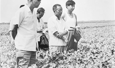 गरीबी से समृद्धी की ओर बढ़ती चीन के हेपेई की जंगतिंग काउंटी