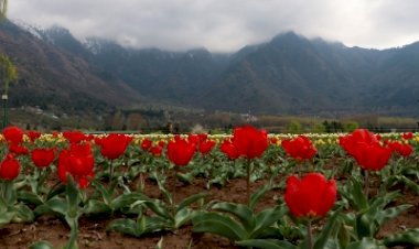 जम्मू-कश्मीर में छाए रहेंगे बादल, हल्की बारिश की संभावना