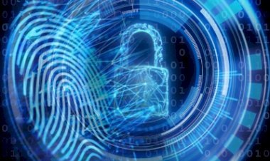 73 फीसदी भारतीय नहीं चाहते कि गैर-व्यक्तिगत डेटा नए पीडीपी बिल का हिस्सा बने