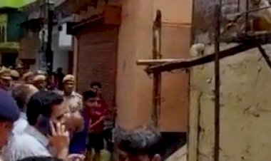 वृंदावन में बंदर ने जिलाधिकारी से छीना चश्मा