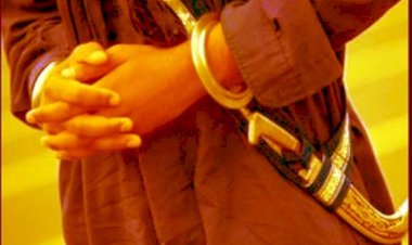 विमानों में सिखों को कृपाण ले जाने की अनुमति के खिलाफ जनहित याचिका वापस ली गई