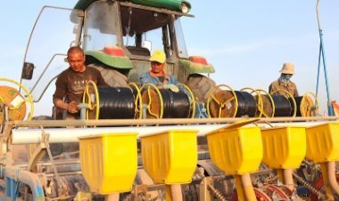 कृषि उत्पादन को सुनिश्चित करने के लिये शिनच्यांग ने कई कदम उठाये