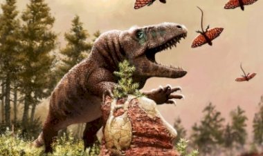 6 करोड़ साल के ग्लोबल वार्मिंग ने की सरीसृपों के विकास में मदद: हार्वर्ड स्टडी