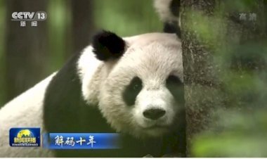 चीनी एक सुंदर मातृभूमि के निर्माण में ला रहे हैं तेजी