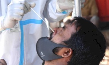 लखनऊ में कोरोना के 115 नए मामले दर्ज