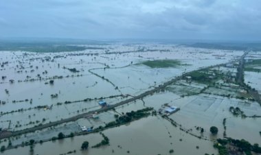 मप्र में बारिश से जिंदगी घिरी मुसीबत में, राहत और बचाव कार्य जारी