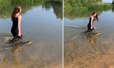 घड़ियाल के साथ महिला का हैरान करने वाला वीडियो, साहस को सल्यूट कर रहे लोग