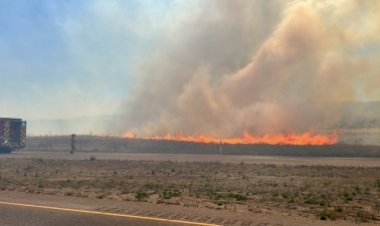 रूसी क्षेत्र ने जंगल में लगी आग के कारण आपात स्थिति घोषित की