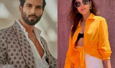 हर रात पंखे की स्पीड को लेकर शाहिद और मीरा में होती है हर लड़ाई