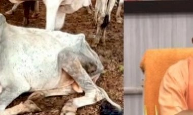 सीएम योगी आदित्यनाथ ने यूपी में पशु मेलों पर लगाया प्रतिबंध
