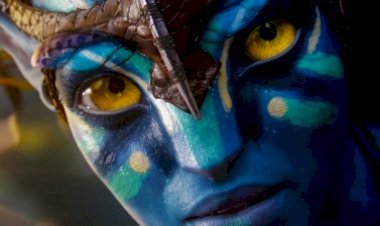 जेम्स कैमरून की अवतार 23 सितंबर को फिर से सिनेमाघरों में होगी रिलीज