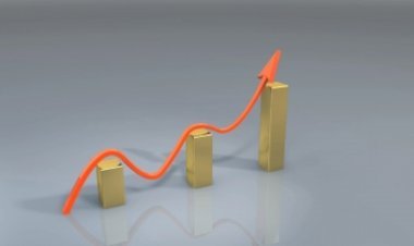 चालू वित्त वर्ष में राज्यों का राजस्व 7 से 9 प्रतिशत तक बढ़ सकता है : सीआरआईएसआईएल