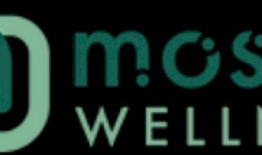 मोजेक वेलनेस कैसे लाखों भारतीयों के लिए व्यक्तिगत स्वास्थ्य कोच बन गया