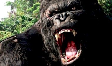 किंग कोंग के जन्म पर बनेगी सीरीज