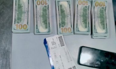 दिल्ली एयरपोर्ट पर सीआईएसएफ ने 25 लाख के विदेशी नोटों के साथ महिला यात्री को पकड़ा