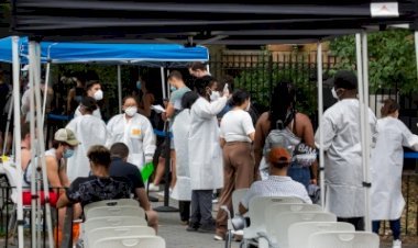 कनाडा में मंकीपॉक्स के 1,206 मामलों की पुष्टि