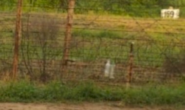 जम्मू : आईबी पर ड्रग्स तस्करी की कोशिश नाकाम, बीएसएफ ने पाक घुसपैठिए को मारी गोली