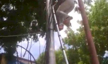 हेलमेट न पहनने पर लाइनमैन का कटा चालान, लाइनमैन ने काटी थाने की बिजली आपूर्ति