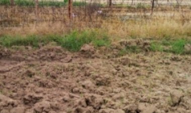 पाकिस्तान सीमा पर तस्करी की बड़ी कोशिश नाकाम, 8 किलो नशीला पदार्थ बरामद (लीड-1)