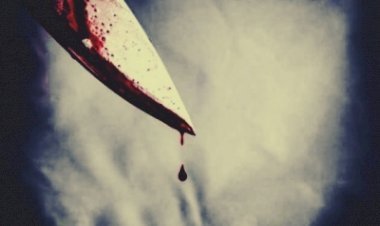 दिल्ली के विकासपुरी में शख्स की चाकू मार कर हत्या