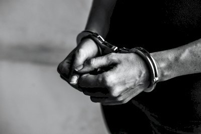 नशे के सौदागरों पर कसा सरकार ने शिकंजा, 785 अभियुक्त गिरफ्तार