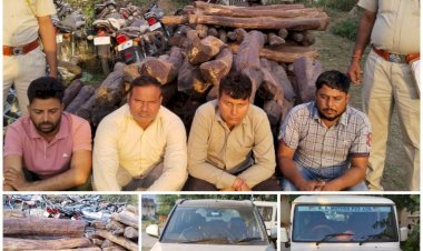 राजस्थान में हो रही थी लाल चंदन की तस्करी, सीआईडी ने जब्त की 12 करोड़ की चंदन, गिरफ्तार किए तस्कर