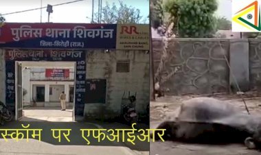 सिरोही के शिवगंज पुलिस थाने में भैंस की मौत पर जोधपुर डिस्कॉम के खिलाफ एफआईआर दर्ज, प्रार्थी ने डिस्कॉम पर लापरवाही का लगाया आरोप, मांगा मुआवजा