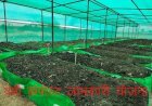 राजस्थान में सरकार इस साल स्थापित करेगी 5 हजार ईकाई, किसानों को मिलेगा 50 हजार का अनुदान, मुख्यमंत्री भजनलाल शर्मा ने किसानों की आय बढ़ाने की दिशा में बढाया कदम