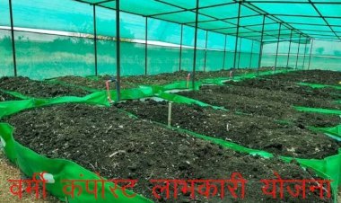 राजस्थान में सरकार इस साल स्थापित करेगी 5 हजार ईकाई, किसानों को मिलेगा 50 हजार का अनुदान, मुख्यमंत्री भजनलाल शर्मा ने किसानों की आय बढ़ाने की दिशा में बढाया कदम