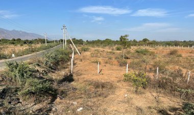 खसरा संख्या 111 पर विवाद: वन विभाग की 9 बीघा भूमि पर अवैध कब्जा, तहसीलदार की भूमिका पर सवाल